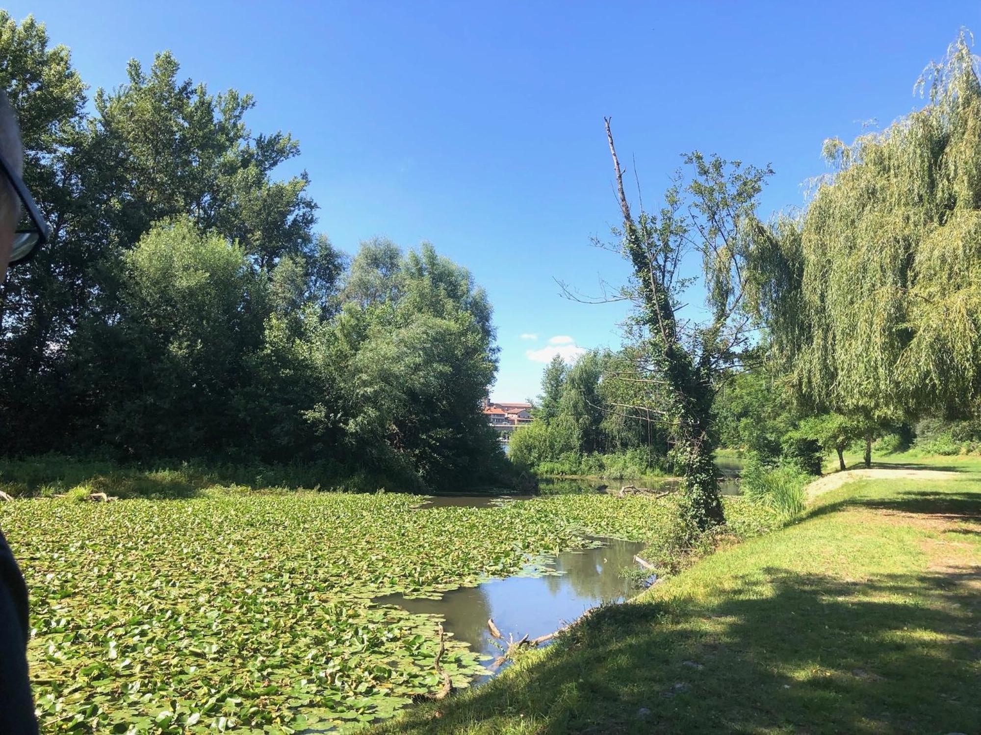 Beautiful Village House Next To Garonne River! Couladere 外观 照片