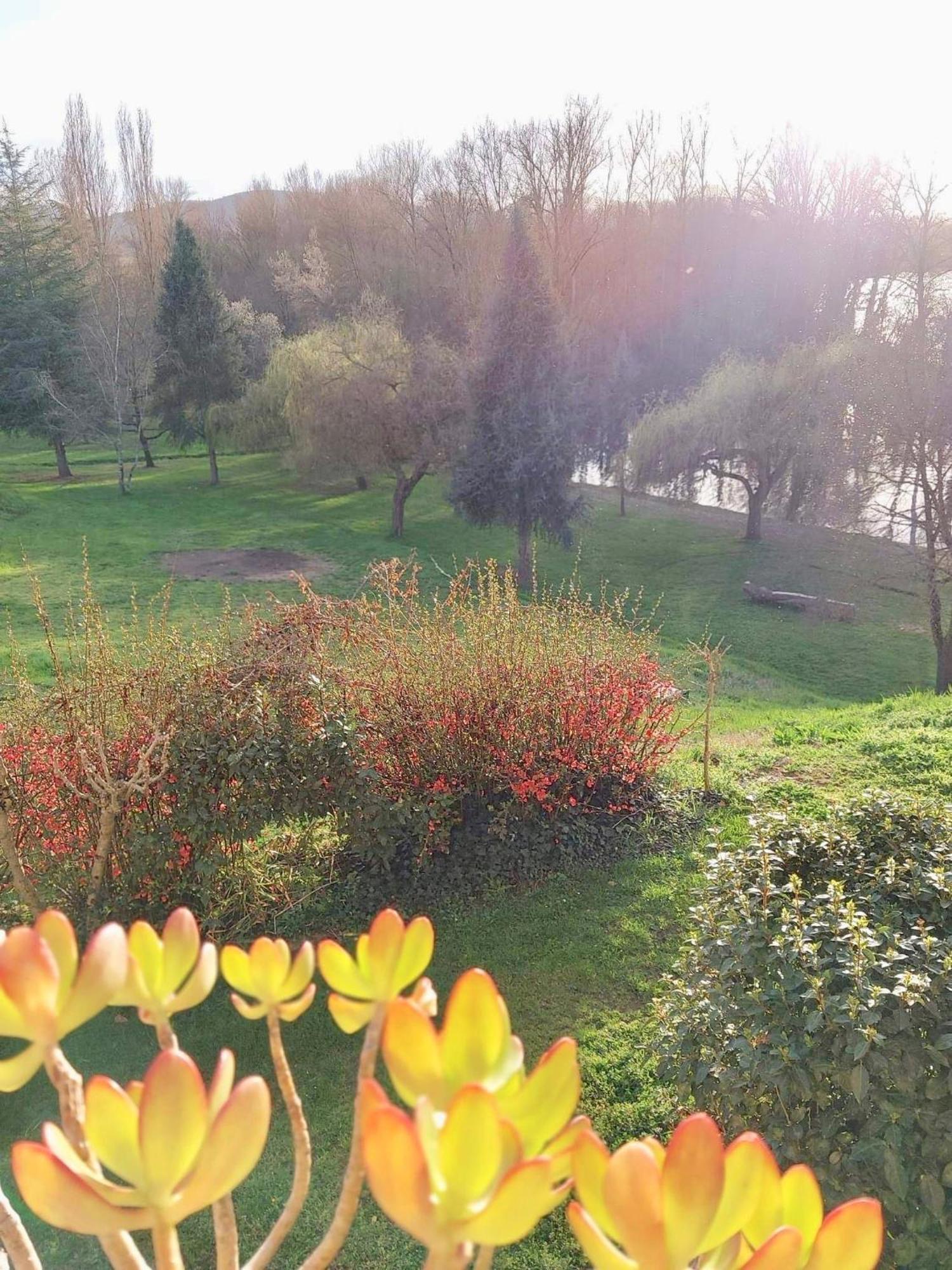 Beautiful Village House Next To Garonne River! Couladere 外观 照片
